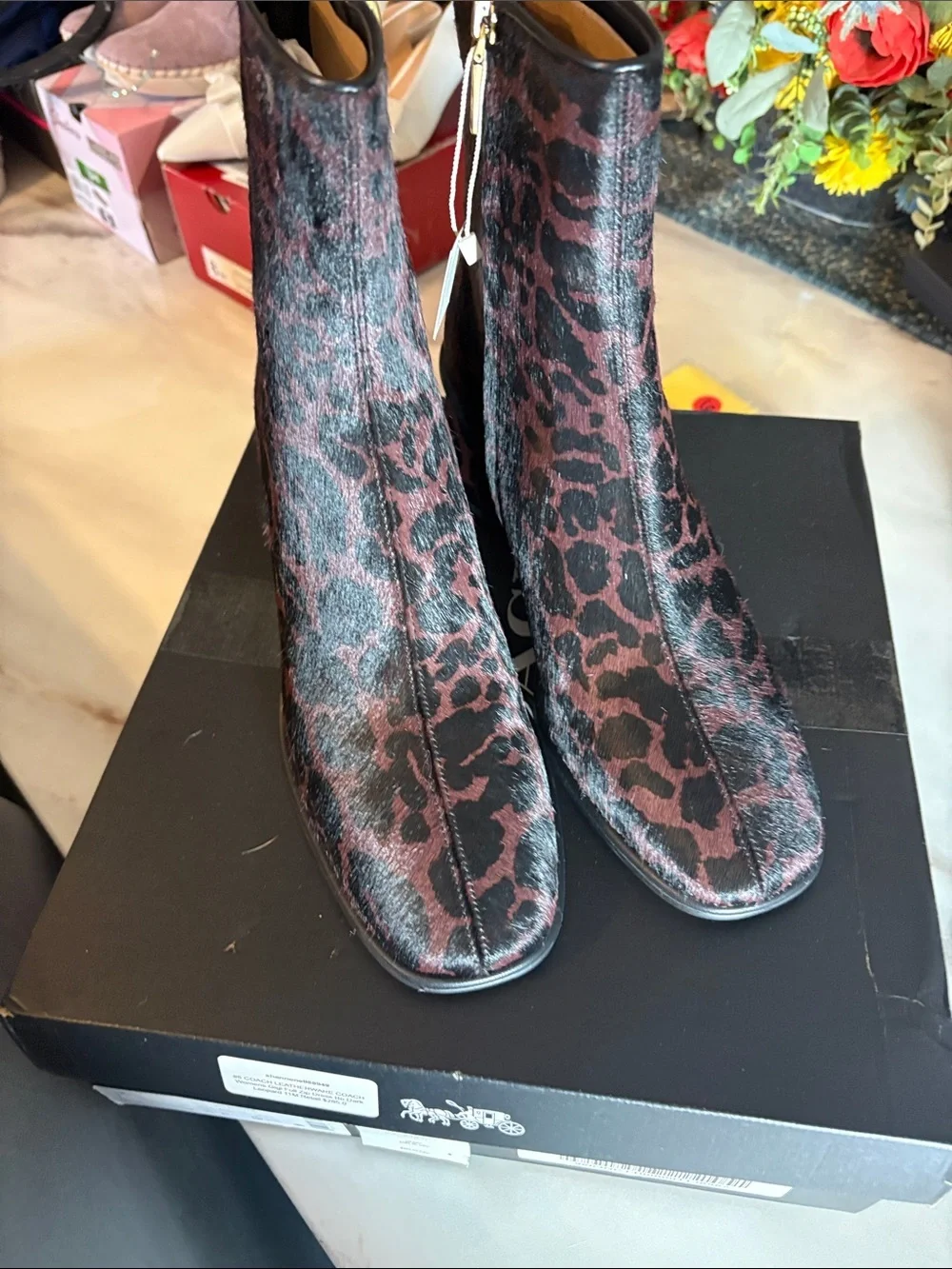 Coach Leopard-Print Haircalf Ankle Boots in Burgundy and Black